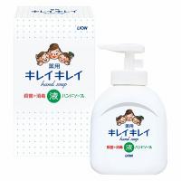 ノベルティ 記念品　ライオン キレイキレイ薬用液体ハンドソープ250ml 箱入り　 まとめ売り/まとめ買い | 業種別ノベルティ・販促品専門店