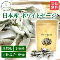日本産 ホワイトセージ 枝付き 無農薬 浄化 消臭 お香 アロマ インセンス Japanese white sage 10g | パワーストーンのLIANAリアナ