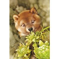 村松誠のおすすめ人気商品一覧 通販 - Yahoo!ショッピング