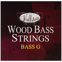 Hallstatt ハルシュタット コントラバス弦/ウッドベース弦 1弦G用 HWB-1 (G) | 川西ストア