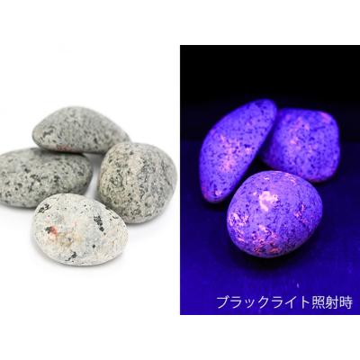ユーパーライトの商品一覧 通販 - Yahoo!ショッピング