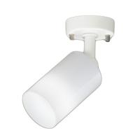 ODELIC オーデリック(OX) LEDスポットライト OS256560WR | ハッピーライト