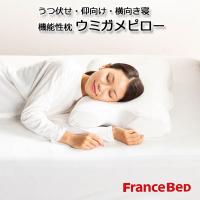 フランスベッド うつ伏せ 仰向け 横向き寝 低反発枕 ウミガメピロー 高さ調節可能な 茶カテキン入り 低反発枕 | 快眠ふとん・まくらの羽島