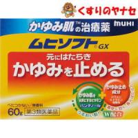 池田模範堂 かゆみ肌修復 ムヒソフト ６０ｇ /【第３類医薬品】／★セルフメディケーション税控除対象 | くすりのヤナセ