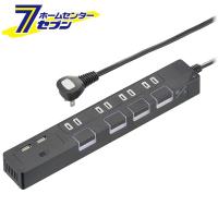 オーム電機 節電タップ光る押しボタンスイッチ雷ガード4個口 USBポート付き 2mブラック [品番]00-1669 HS-TPKU42K-22           (電源タップ・延長コード) | DIY.com