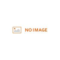 マキタ 18V 充電式 高枝チェーンソー MUA200DZ 充電式ポールソー (店舗受取のみ) | ホームセンターグッデイ
