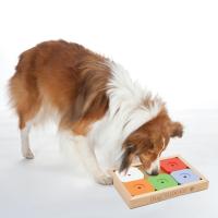 Ｄｏｇ ＳＵＤＯＫＵ スライドパズル カラフル アドバンス 犬用玩具 日本育児 | ホームセンターグッデイ