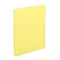 ナカバヤシ　デジタルフリーアルバム　Ａ４サイズ　イエロー アＨＡ４Ｆ１４２Ｙ | ホームセンターグッデイ