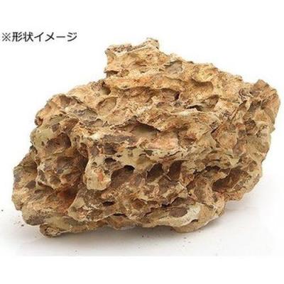 気孔石の商品一覧 通販 - Yahoo!ショッピング