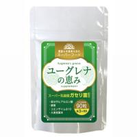 ※ゆうパケット・定形外郵便送料無料※ 『ユーグレナの恵み 90粒』 | Healing Village ヤフー店