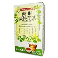 減肥爽快美茶　4g×30包 - がんこ茶屋 | ヘルシーグッド Yahoo!店