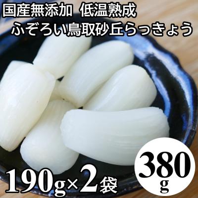 ラッキョウのおすすめ人気ランキングTOP100 - Yahoo!ショッピング