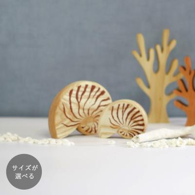オウムガイのおすすめ人気ランキングTOP100 - Yahoo!ショッピング