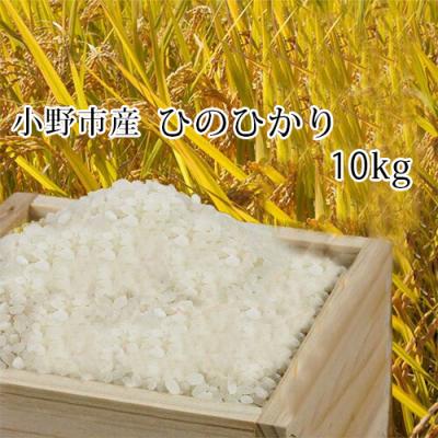 兵庫県産ひのひかりの商品一覧 通販 - Yahoo!ショッピング