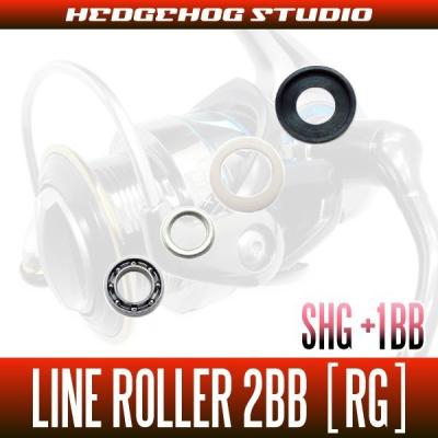 カルディア21　 LT2500S-XH （ベアリング追加品） ダイワ 21カルディアのベアリング追加│少人数ファミリーキャンプ入門