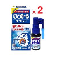 のどぬ〜るスプレー大容量 25mL X 2個セット 第3類医薬品　小林製薬 | ヘイセイドラッグ ヤフー店