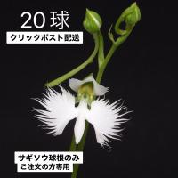 やまおか碧山苑ヤフー店