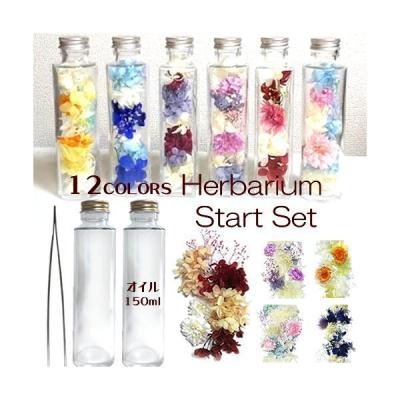ハーバリウム キットのおすすめ人気商品一覧 通販 - Yahoo