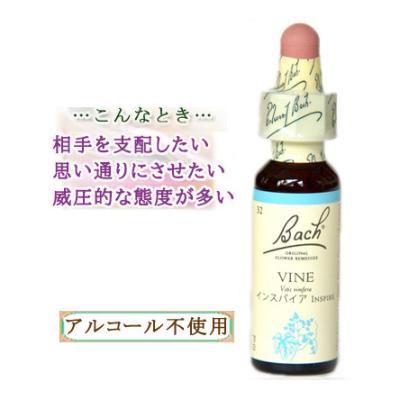 ⭐︎良好未開封⭐︎Bach フラワーエッセンス 6本セット フラワーボックス入りバッチフラワー全種セット - ChouChou