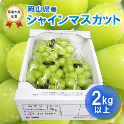 シャインマスカットの商品一覧 通販 - Yahoo!ショッピング シャインマスカットの商品一覧 通販 - Yahoo!ショッピング