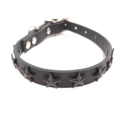 スタースタッズ（犬用首輪、ハーネス、リード）｜犬用品 | ペット用品