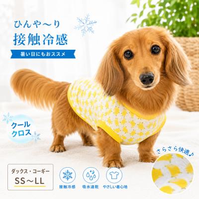 ミニチュアダックス 服の商品一覧 通販 - Yahoo!ショッピング