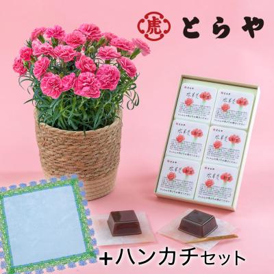 近沢レース ハンカチのおすすめ人気商品一覧 通販 - Yahoo!ショッピング