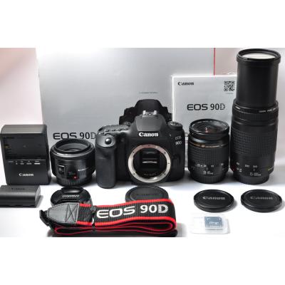 Canon EOS 90D望遠レンズセット/Canon EF 75-300mm Canon EOS 90D望遠レンズセット/Canon EF 75-300mm