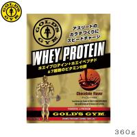 GOLD'S GYM ゴールドジム ホエイプロテイン チョコレート風味 360g F5536 83028 | SWIMSHOPヒカリスポーツ