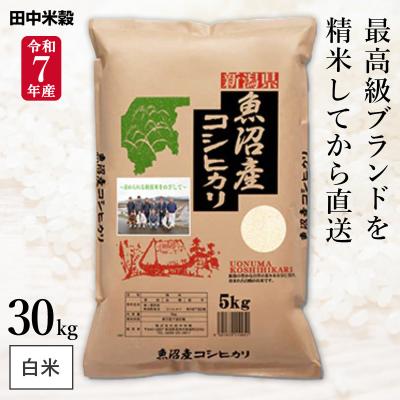 新潟コシヒカリ30キロのおすすめ人気商品一覧 通販 - Yahoo!ショッピング