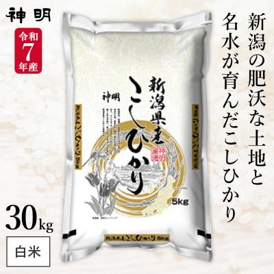 新潟コシヒカリ30キロのおすすめ人気商品一覧 通販 - Yahoo!ショッピング