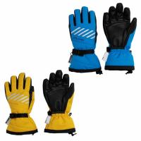 フェニックス Phenix スキー スノーボード グローブ ジュニア GLOVE ESB23GL83 | ヒマラヤ Yahoo!店