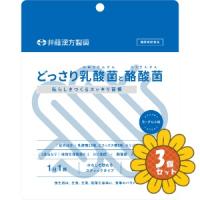 「セット販売」「井藤漢方製薬」どっさり乳酸菌と酪酸菌　2g×24袋　3個セット | ひまわりの薬屋