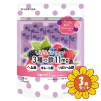 「セット販売」「井藤漢方製薬」ひとくちFeケア　3種の鉄11mg　1.5g×15袋　3個セット | ひまわりの薬屋