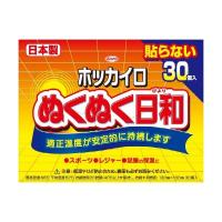 興和 ホッカイロ ぬくぬく日和 貼らない レギュラー 30個 | 姫路流通センター