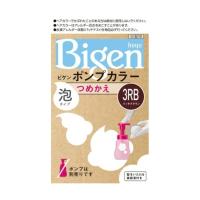 ホーユー ビゲン Bigen ポンプカラー つめかえ 3RB リッチブラウン ※ポンプは別売りです | 姫路流通センター