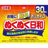 【送料無料・まとめ買い×5点セット】興和 ホッカイロ ぬくぬく日和 貼るレギュラー30個入り ( 使い捨てカイロ ) | 姫路流通センター