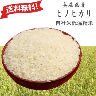 兵庫県産ヒノヒカリの商品一覧 通販 - Yahoo!ショッピング