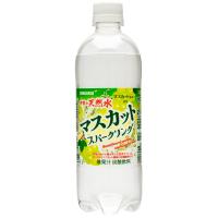 サンガリア 伊賀の天然水マスカットスパークリング 500ml×24本 | 大野商店