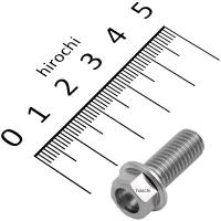 【メーカー在庫あり】 ZT03-0820 ジータ ZETA チタンフランジボルト 汎用 スタンダード M8 P1.25 20mm 1本入り HD店 | ヒロチー商事 2号店