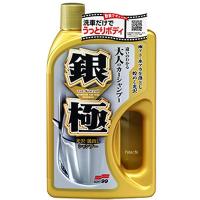 【メーカー在庫あり】 4291 ソフト99コーポレーション 銀極シャンプー 750ml HD店 | ヒロチー商事 2号店