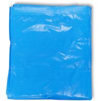 【メーカー在庫あり】 ECOFRI-3654 ECOFRI3654  萩原工業(株) 萩原 ターピー エコフレンドシート＃3000 3.6m×5.4m HD店 | ヒロチー商事 2号店