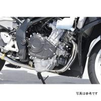 10265-00TC2 ヤマモトレーシング SPEC-A EX ASSY チタン 23年 CBR250RR SP店 | ヒロチー商事3号店