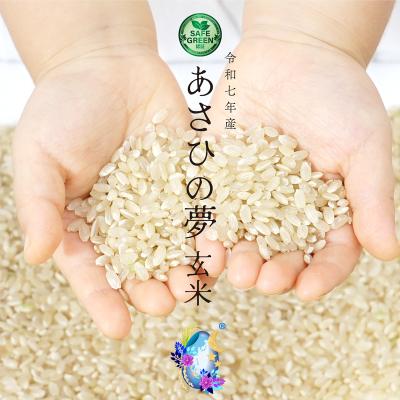 米 10kg（食品）（お米の品種：あさひの夢）のおすすめ人気商品一覧