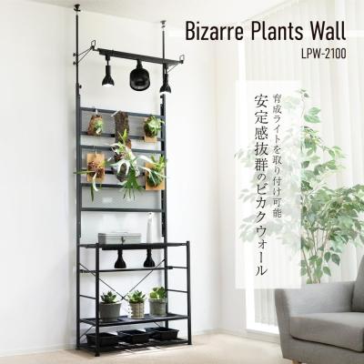 ビカクシダ 板（家具、インテリア用品）のおすすめ人気商品一覧 通販