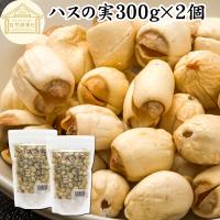 ハスの実 300g×2個 蓮の実 はすの実 ドライ 無添加 餡に 無漂白 | 青汁・健康粉末の健康生活研究所