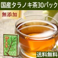 タラノキ茶 30パック 国産 たらのき茶 タラの木茶 ティーパック 送料無料 | 青汁・健康粉末の健康生活研究所