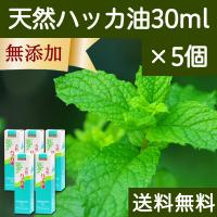 天然ハッカ油30ml×5個 スプレー式 ペパーミント商会 薄荷 オイル 無添加 送料無料 | 青汁・健康粉末の健康生活研究所