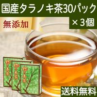 タラノキ茶 30パック×3個 国産 たらのき茶 タラの木茶 ティーパック 送料無料 | 青汁・健康粉末の健康生活研究所