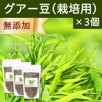 グアー豆400g×3個 栽培用 種子 グア豆 クラスタ豆 | 青汁・健康粉末の健康生活研究所